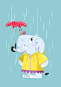 Rain : Un pachyderme et son ami sous la pluie.