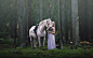 People 1920x1200 women nature model dress women outdoors long hair blonde trees forest animals horse