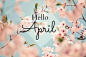 Hello，April 你好，春天。