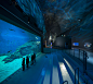 3XN: blue planet aquarium open to the public