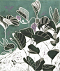 Creeper by Tessa Charles Linocut print