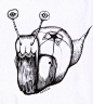尼内特作画——蜗牛