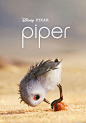 [2016][美国][动漫][1080P超清]鹬 Piper#电影资源分享#