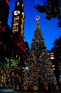 Sydney Westin, Town Square Christmas Tree
圣诞悉尼