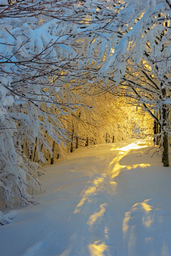 如沐春风20122012采集到雪景