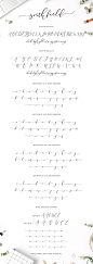 Southfield Typeface - Script