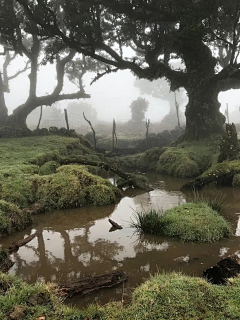 包包馒头采集到场景摄影 照片