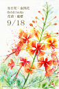 每日一花 9.18 生日花：-Haru. Hello.