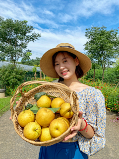 阿木憩采集到N 农游文旅