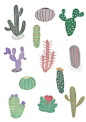 Couple of cactus drawings!