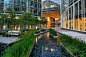 The Avenue_ stormwater fed water feature