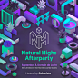 Natural Highs Festival 2017 : Artworks, graphic design and teaser for Natural Highs Festival 2017, an electronic outdoor music festival in Antwerp, Belgium.