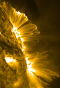 Sun activity, Oct. 22, 2011