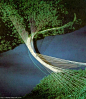 上个世纪的1977年，林同炎先生和他的搭档D. Allan Firmage设计了跨越美利坚河（The American River ）奥本坝库区的斜拉桥方案，取名为Ruck-A-Chucky Bridge（简称Ruck桥）。
　　Ruck桥位于距加里福利亚（California）10英里的奥本坝水库上。桥梁设计参照了美国桥梁设计规范AASHTO。桥梁长度1300英尺，主梁方案为钢箱曲梁和钢混曲梁，曲率半径457.20米；众多的钢拉索组成了空间双曲面索面，四个索面的拉力代替了桥梁墩台，承载了整个桥梁的荷载，