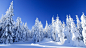 General 2048x1152 snow trees winter nature frost