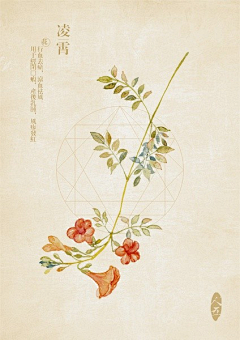 KellyOhKelly采集到Flora