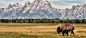 大提顿国家公园｜怀俄明州
Grand Teton National Park, Wyoming

日出时，大提顿国家公园的杰克逊河（Jackson Lake）倒映着远方的绵延山脉。这座国家公园中有几百公里的远足步道，包括通往提顿山脉的远足步道。