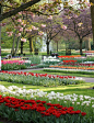 荷兰库肯霍夫(keukenhof)公园34