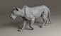 Virtual Lion with ZIVA VFX : See how the Ziva Team created a fully anatomical and physics-abiding virtual lion using ZIVA VFX.