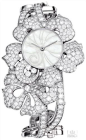 Van-Cleef-Arpels.jpg (308×500)