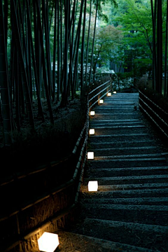 穿马丁靴的喵采集到PB-夜景灯光（景观）