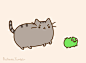 Pusheen the cat : =＾● ⋏ ●＾= Meow! I am Pusheen the cat. This is my blog. (more...)