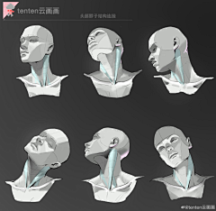 终点站24采集到人体结构