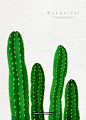 绿色植物 细长仙人掌 手绘插图PSD_平面设计_绘画插图