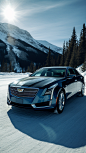 MONKEY_Far_view_Cadillac_car_glacierThe_sunshine_is_great_Marke_3c9c0e90-ff8f-4339-8c28-2d632a37fa65