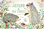 3672@小文~~   【设计学习群2314619】秋天的刺猬图形素材 Autumn in the forest. Hedgehogs #894961   