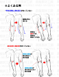 「腕の回転：回内と回外の筋肉変化と肘関節の位置変化」/「漫画素材工房」の漫画 [pixiv]