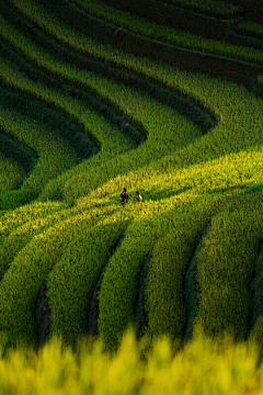 瘦骨不禁秋采集到Photograph摄影