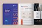 annual report brochure company profile ANNUAL brochure design business business profile company corporate report