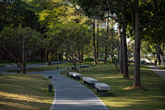 倾风者采集到公园——Park