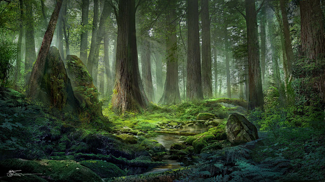 jeremy-chong-forest1...