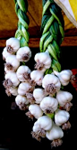 Braided garlic at the Beaverton Farmers market