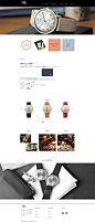 瑞士FHB经典复古手表品牌产品展示酷站！酷站截图欣赏-编号：9001398