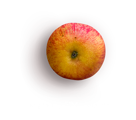 d5bf1136454a58d24334b3443d80660637f6834b1e1d3-eYev9W