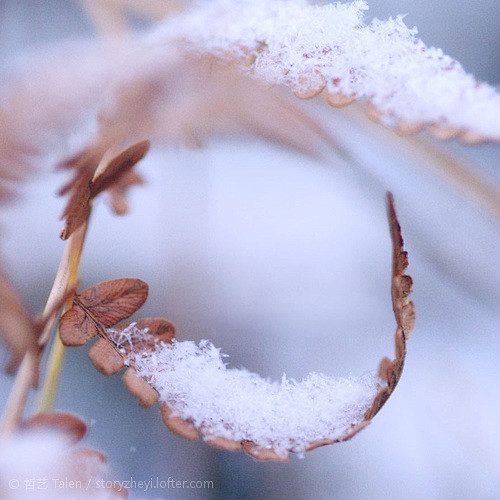 冬打碎天空，让雪出逃 白和蓝，如两面旗帜...