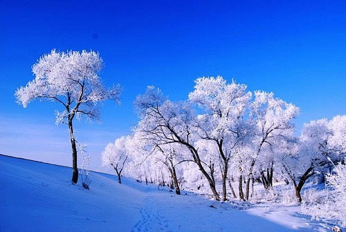 吉林国际雾凇冰雪节27日隆重开幕