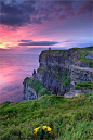 Cliffs of Moher, Ireland. The Cliffs of Moher are located at the southwestern edge of the Burren region in County Clare, Ireland. They rise 390 ft above the Atlantic Ocean at Hag's Head, and reach their maximum height of 702 ft just north of O'Brien's Tow