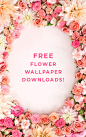 floral desktop downloads | designlovefest