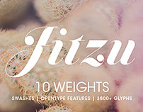 Jitzu Family | Font