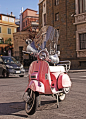 Photograph Pink Vespa by Dennis Cabral-Bernard on 500px