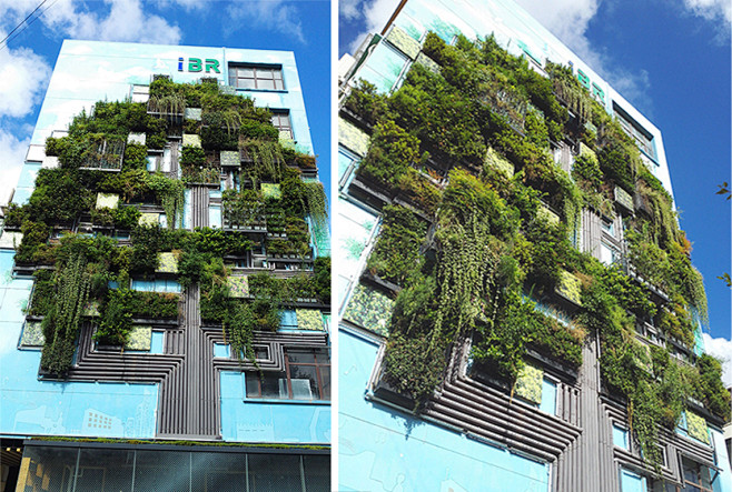 绿色生态建筑 垂直绿化 立体绿化 创意建...