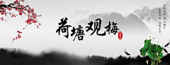 ·o·🐾采集到banner