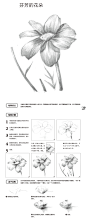 本案例摘自人民邮电出版社出版的《轻松学手绘：素描基础入门教程》
http://product.dangdang.com/23917479.html