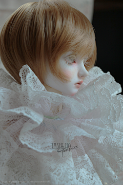 glsubkRi采集到bjd