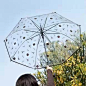 猪娃礼物 zakka法兰西风情创意复古全透明晴雨伞长柄超大伞-淘宝网