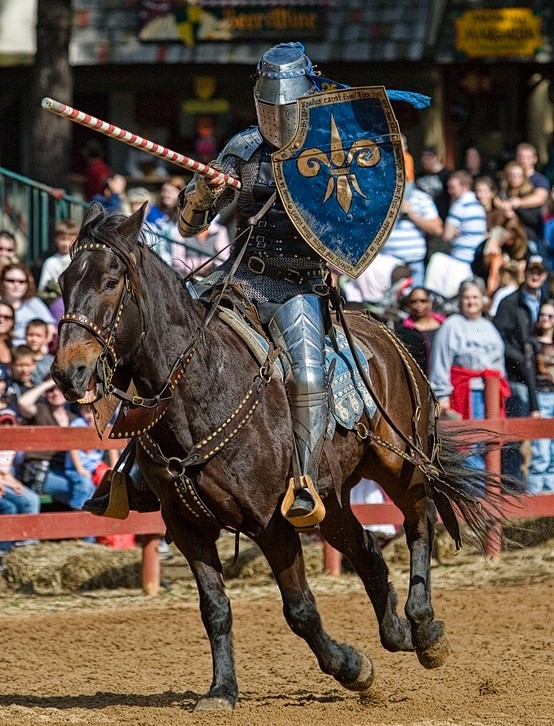 The Joust